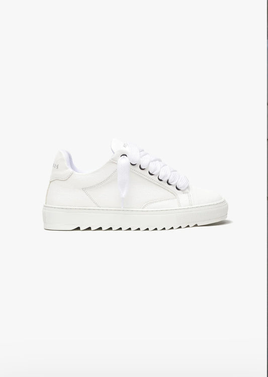 NMERIS-White